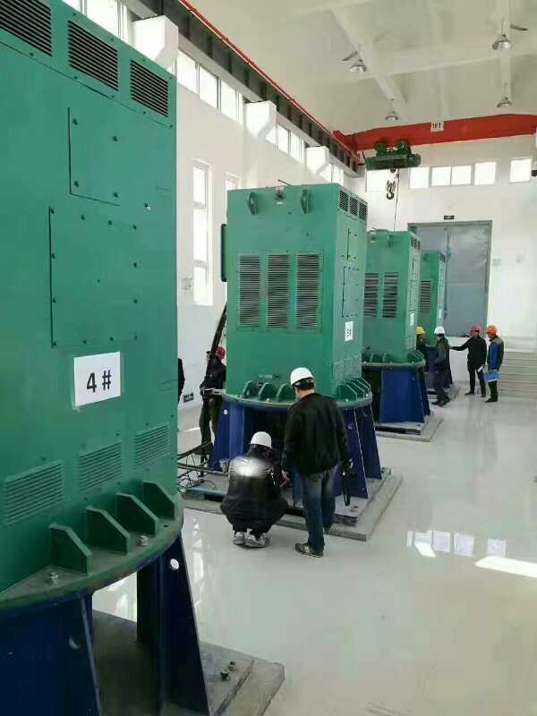 YKK800-6某污水处理厂使用我厂的立式高压电机安装现场