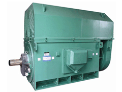 YKK800-6Y系列6KV高压电机